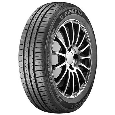 205/45 - 17 88W XL FM601 NEREUS